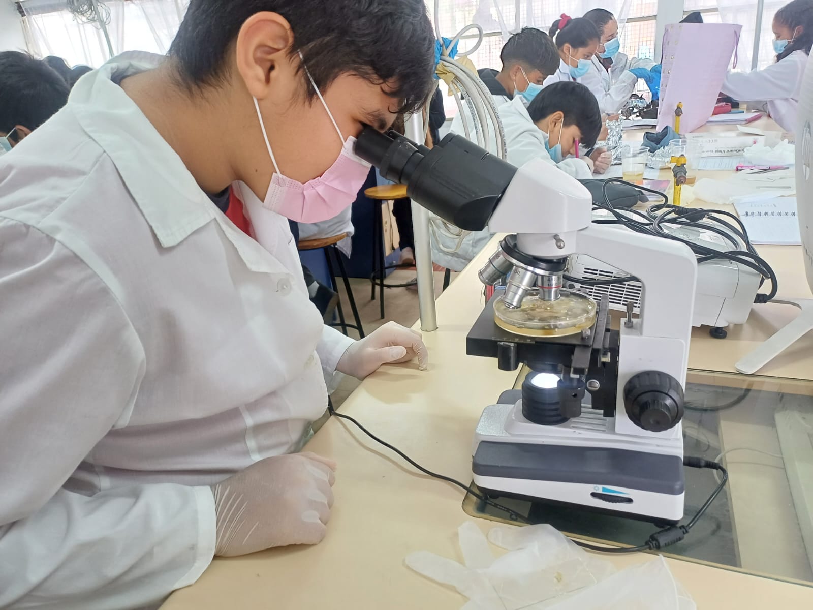 Laboratorio de ciencias 2